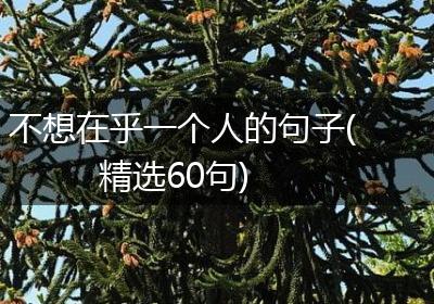 不想在乎一个人的句子(精选60句)