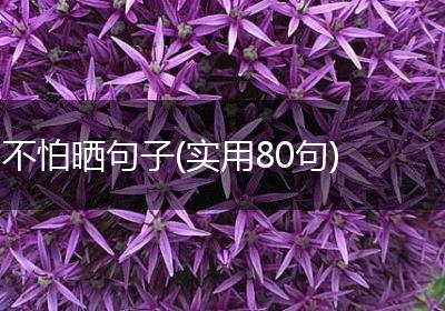 不怕晒句子(实用80句)