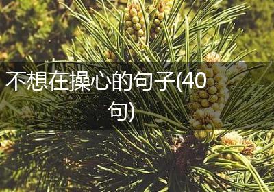 不想在操心的句子(40句)