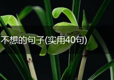 不想的句子(实用40句)
