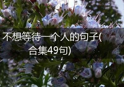 不想等待一个人的句子(合集49句)