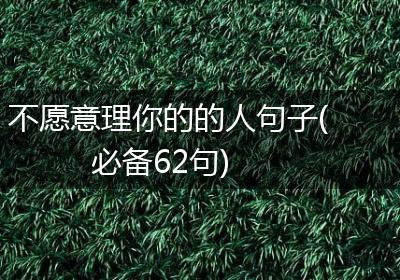 不愿意理你的的人句子(必备62句)