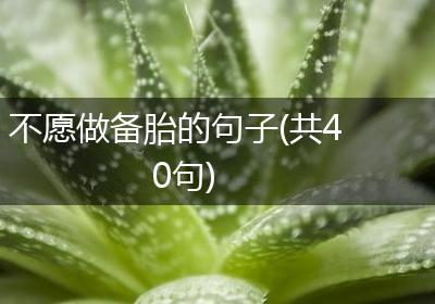 不愿做备胎的句子(共40句)