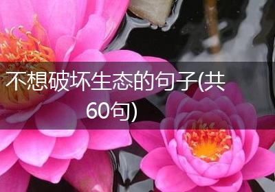 不想破坏生态的句子(共60句)