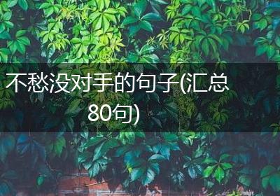 不愁没对手的句子(汇总80句)