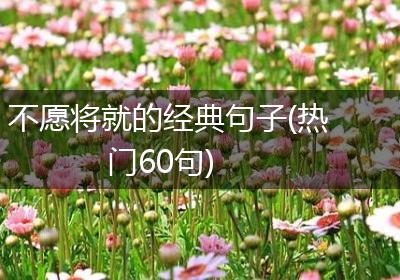 不愿将就的经典句子(热门60句)