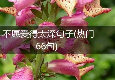 不愿爱得太深句子(热门66句)