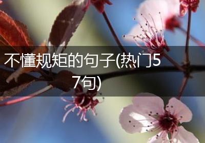 不懂规矩的句子(热门57句)