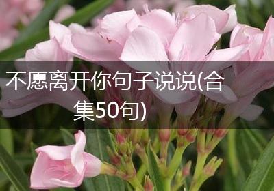 不愿离开你句子说说(合集50句)