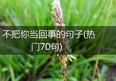 不把你当回事的句子(热门70句)
