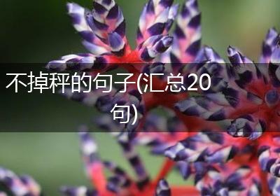 不掉秤的句子(汇总20句)