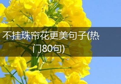 不挂珠帘花更美句子(热门80句)