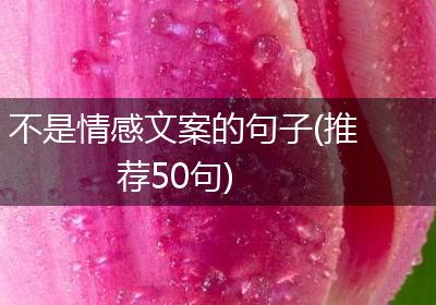 不是情感文案的句子(推荐50句)