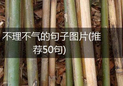 不理不气的句子图片(推荐50句)