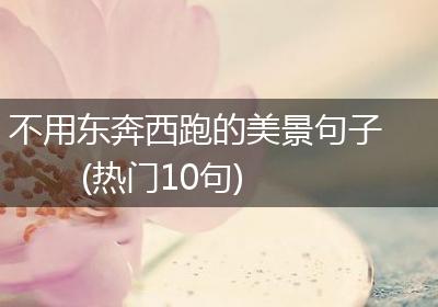 不用东奔西跑的美景句子(热门10句)