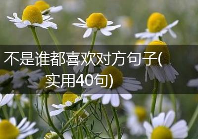 不是谁都喜欢对方句子(实用40句)