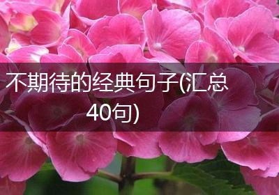 不期待的经典句子(汇总40句)