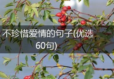 不珍惜爱情的句子(优选60句)