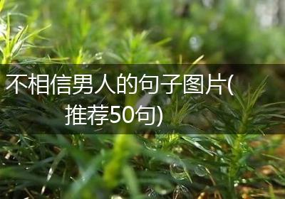 不相信男人的句子图片(推荐50句)