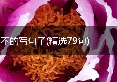 不的写句子(精选79句)
