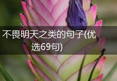 不畏明天之类的句子(优选69句)