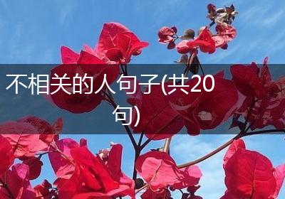 不相关的人句子(共20句)