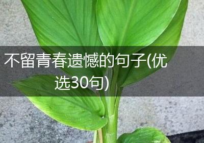 不留青春遗憾的句子(优选30句)