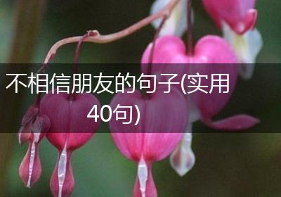 不相信朋友的句子(实用40句)