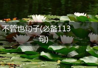 不管也句子(必备113句)