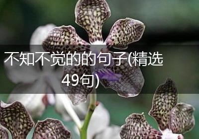 不知不觉的的句子(精选49句)