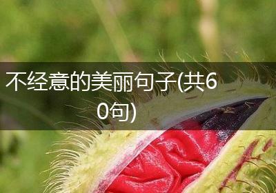 不经意的美丽句子(共60句)