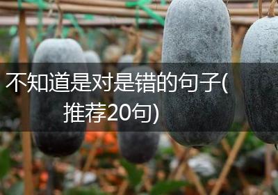 不知道是对是错的句子(推荐20句)