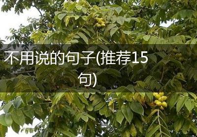 不用说的句子(推荐15句)