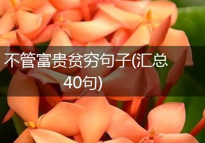 不管富贵贫穷句子(汇总40句)