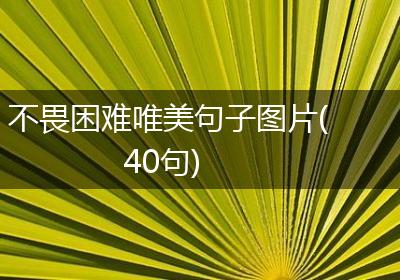 不畏困难唯美句子图片(40句)