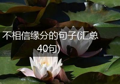 不相信缘分的句子(汇总40句)