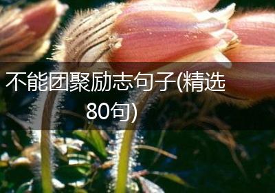 不能团聚励志句子(精选80句)