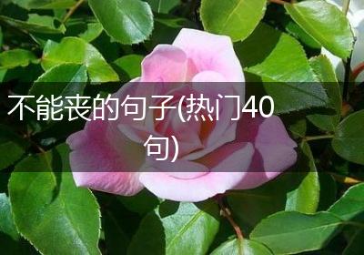 不能丧的句子(热门40句)