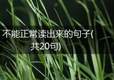 不能正常读出来的句子(共20句)