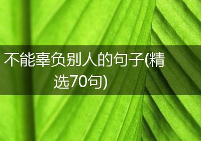 不能辜负别人的句子(精选70句)