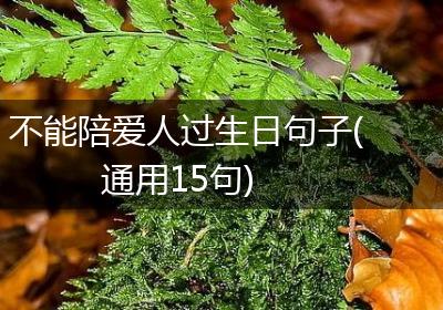 不能陪爱人过生日句子(通用15句)