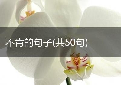 不肯的句子(共50句)