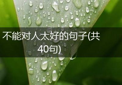 不能对人太好的句子(共40句)
