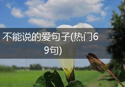 不能说的爱句子(热门69句)