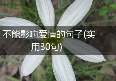 不能影响爱情的句子(实用30句)