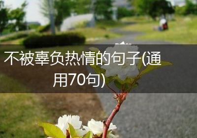 不被辜负热情的句子(通用70句)