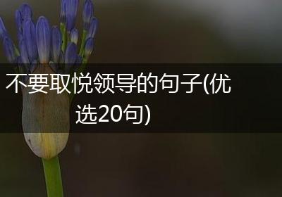 不要取悦领导的句子(优选20句)