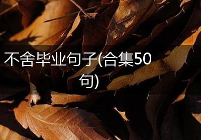 不舍毕业句子(合集50句)