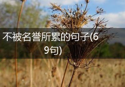 不被名誉所累的句子(69句)
