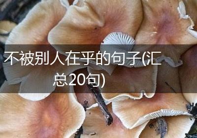 不被别人在乎的句子(汇总20句)